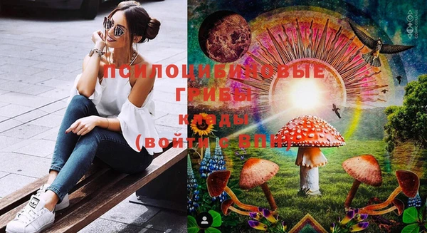 крисы Бугульма
