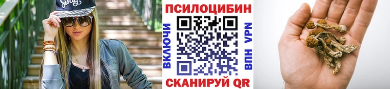 сколько стоит  Кольчугино  МЕГА   Псилоцибиновые грибы Cubensis 
